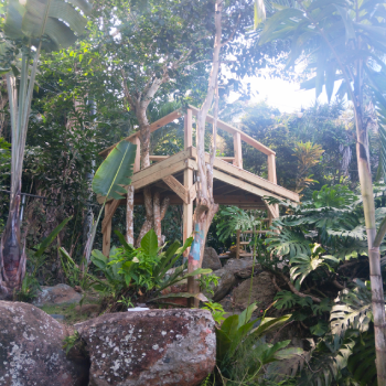 Elevated Deck